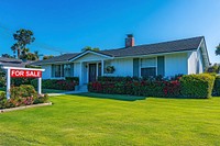 House lawn suburb green.