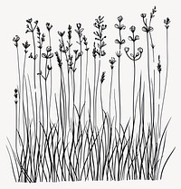 Wild flower Horsetail drawing grass flowers vector