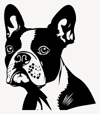 Collection portrait Boston Terrier dog illustration kangaroo bulldog vector