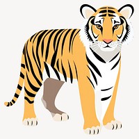 Tiger illustration wildlife animal vector