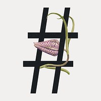 Hashtag sign botanical calligraphic art, isolated vector element. Remixed by rawpixel.