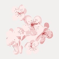 Japanese cherry blossom flower,, vintage vector element. Remixed by rawpixel.