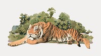 Tiger watercolor, vector element. Remixed by rawpixel.