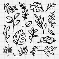 Hand-drawn leaves on grid paper. Sketchy leaf designs, various leaf shapes. Artistic leaf sketches, black ink on grid. Creative leaf patterns, hand-drawn style. Hand drawn botanical vector set.