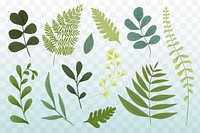 Illustration of various green leaves, including ferns and eucalyptus. Green leaves, diverse shapes, and ferns create a natural, botanical theme. Nature element vector set.