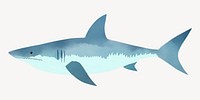 Shark animal fish white background  vector