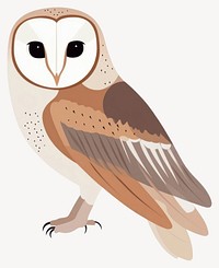 Barn Owl owl illustration bird vector