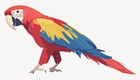 Macaw bird illustration parrot vector vector