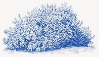 Hand drawn bush drawing nature blue vector