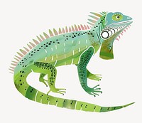 Cute iguana animal illustration vector