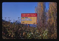 Circus Drive-In, Anacortes, Washington (1987) photography in high resolution by John Margolies. Original from the Library of Congress. 
