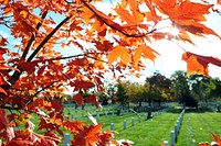 Arlington National Cemetery in Arlington, Va., is seen at sunrise Nov. 2, 2013. (DoD photo by Petty Officer 2nd Class Patrick Kelley, U.S. Coast Guard/Released). Original public domain image from Flickr