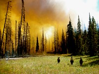 Kings Peak Wildland Fire Module from the Ashley National Forest working on the Willow Fire on the Caribou-Targhee National Forest. Original public domain image from Flickr