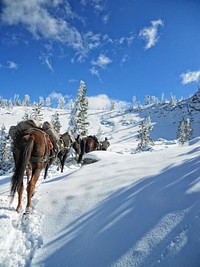 Winter at Payette National Forest, USA. Original public domain image from Flickr