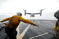 U.S. Navy Boatswain's Mate 3rd Class Brian Sherlock, a landing signalman enlisted, directs the first-ever landing of a Marine Corps MV-22 Osprey tiltrotor aircraft aboard the dock landing ship USS Ashland (LSD 48) in the Leyte Gulf near the Philippines Nov. 22, 2013, during Operation Damayan.