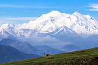 Caribou and Denali. Original public domain image from Flickr