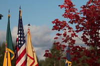 American flag. Original public domain image from Flickr