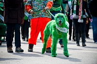 Green Irish wolfhound in St. Patrick's Day parade. Original public domain image from Flickr