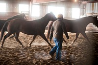 Veterans corral horses to take rein of own livesWeek-long Boots and Hooves pilot program held in March at the Promise Equestrian Center in Maple Park, Ill., March 20. (U.S. Army photo by Sgt. 1st Class Michel Sauret). Original public domain image from Flickr