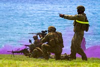 Australian soldiers with Delta Company, 5th Battalion, Royal Australian Regiment conduct a tactical live-fire demonstration during the Rim of the Pacific (RIMPAC) 2014 exercise July 29, 2014, at a range at Marine Corps Base Hawaii in Kaneohe, Hawaii.