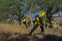 U.S. Soldiers with the 340th Brigade Support Battalion and the 224th Sustainment Brigade, both with the California Army National Guard, cut a line during a training exercise with the California Department of Forestry and Fire Protection at Camp Roberts, Calif., Aug. 7, 2014.