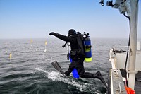 Water Walker. The USGS underwater survey off Drummond Island, Michigan.