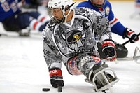 Army veteran Rico Roman of the San Antonio Rampage handles a puck during a sled hockey game with the USA Warriors in Rockville, Md. Sept. 18, 2014. Roman is a member of the gold medal U.S. National Sled Hockey Team in the 2014 Paralympics in Sochi. Original public domain image from Flickr