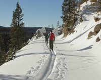 Skiing on Virginia Cascades DriveCross-country skiers on Virginia Cascades Drive by Diane Renkin. Original public domain image from Flickr