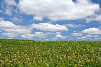 A summer day in Michigan near the Jordan River.Photo by Bobbie Halchishak/USFWS. Original public domain image from Flickr