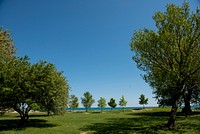 Park during summer. Original public domain image from Flickr