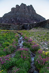 Wildflowers With Clements Mountain. Original public domain image from <a href="https://www.flickr.com/photos/glaciernps/19925919654/" target="_blank">Flickr</a>