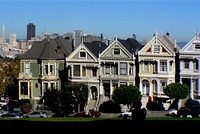 Painted ladies.