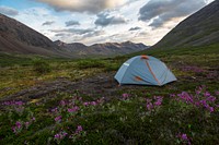 Camping in nature. Original public domain image from Flickr