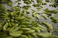 Cleaning fresh bananas. Original public domain image from Flickr