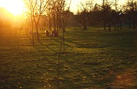 Orange sunlight in the park.