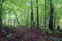 Fall Hiking. Original public domain image from Flickr