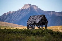 Abandoned house in nature. Original public domain image from Flickr