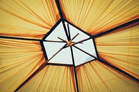 View from inside of a canopy.