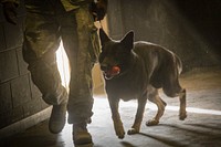 U.S. Air Force Staff Sgt. Kenneth Parham, an 87th Security Forces Squadron military working dog handler, and his K-9 partner, Ilay, wait for training to start at the New Jersey National Guard Training and Training Technology Battle Lab at Joint Base McGuire-Dix-Lakehurst, N.J., March 11, 2015.