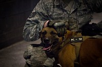 U.S. Air Force Staff Sgt. Jeremy Callaghan, an 87th Security Forces Squadron military working dog handler, waits with his partner Sonya for training to start at the New Jersey National Guard Training and Training Technology Battle Lab at Joint Base McGuire-Dix-Lakehurst, N.J., March 11, 2015.