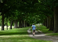 Jogger at Hagley Park is the largest urban open space in Christchurch, New Zealand, and was created in 1855 by the Provincial Government. Original public domain image from Flickr