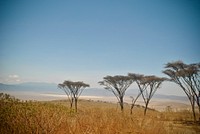 Nature of Tanzania. Original public domain image from Flickr
