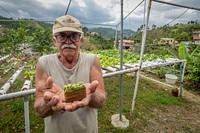 Jaime Betancourt grows vegetables in a hydroponic farm in his Guaynabo, Puerto Rico home for sale in local Farmer's Markets.