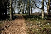 At Sizergh Castle, on a cold afternoon. Original public domain image from Flickr