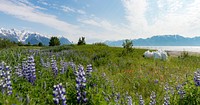 WRST Yakutat Marine Debris Cleanup 2015