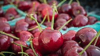 Cherries available from vendors at the U.S. Department of Agriculture Farmers Market on Friday July 22, 2016, in Washington, D.C.,USDA Photo by Lance Cheung. Original public domain image from Flickr