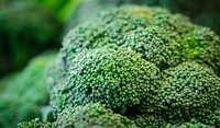 Organic broccoli from Tuscarora Organic Growers (TOG) was delivered to Each Peach Market in the Washington, D.C., on Tuesday Aug 2, 2016.