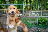 U.S. Department of Agriculture (USDA) Secretary Sonny Perdue visits Farmsteads Puppy Paradise, LLC in Clements, Maryland June 18, 2018.