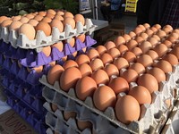 Great Valley Poultry and Metzer Farm from Manteca and Gonzales, California free range chickens who produce organic eggs that are sold at urban farmers markets, such as this one at Jack London Square, near the downtown, marina, railway, ferry dock and port of Oakland, California, on Sept 4, 2016.