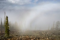 Fogbow in forest at Bunsen Peak. Original public domain image from Flickr
